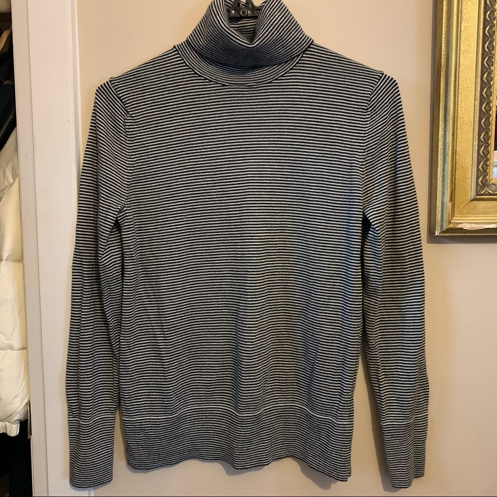 GAP Striped Knit Turtleneck